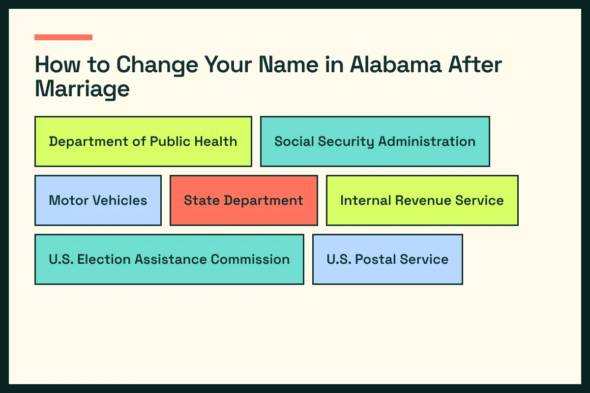 AL diagram connects Alabama vital records with AL driver services and the wider Alabama update path