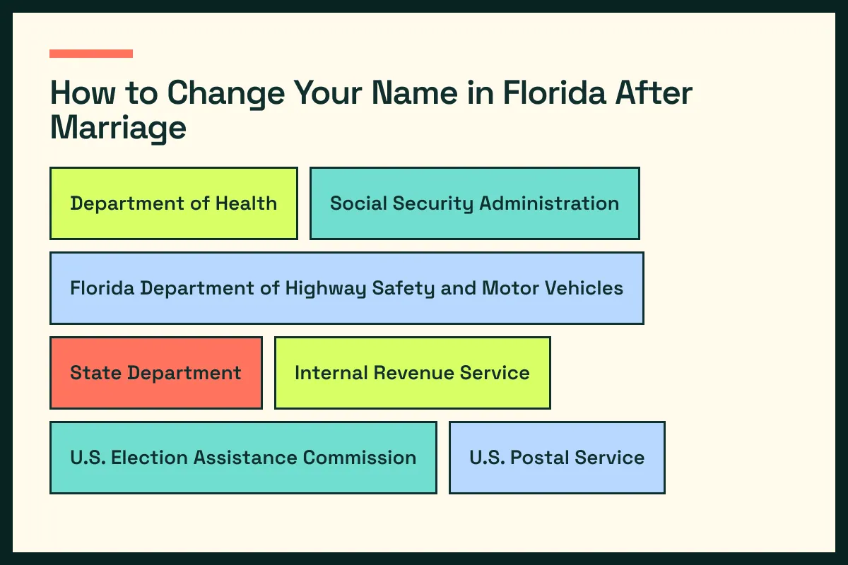 FL diagram connects Florida vital records with FL driver services and the wider Florida update path