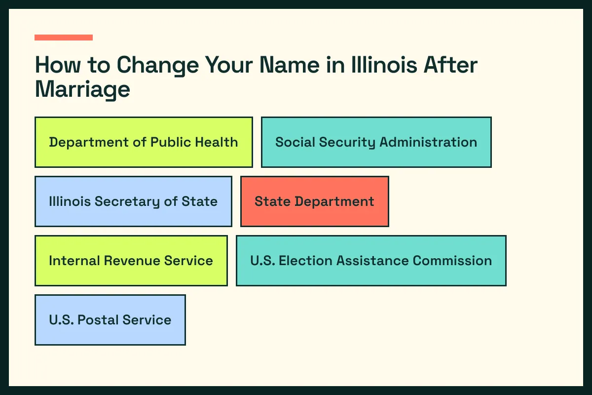 IL diagram connects Illinois vital records with IL driver services and the wider Illinois update path
