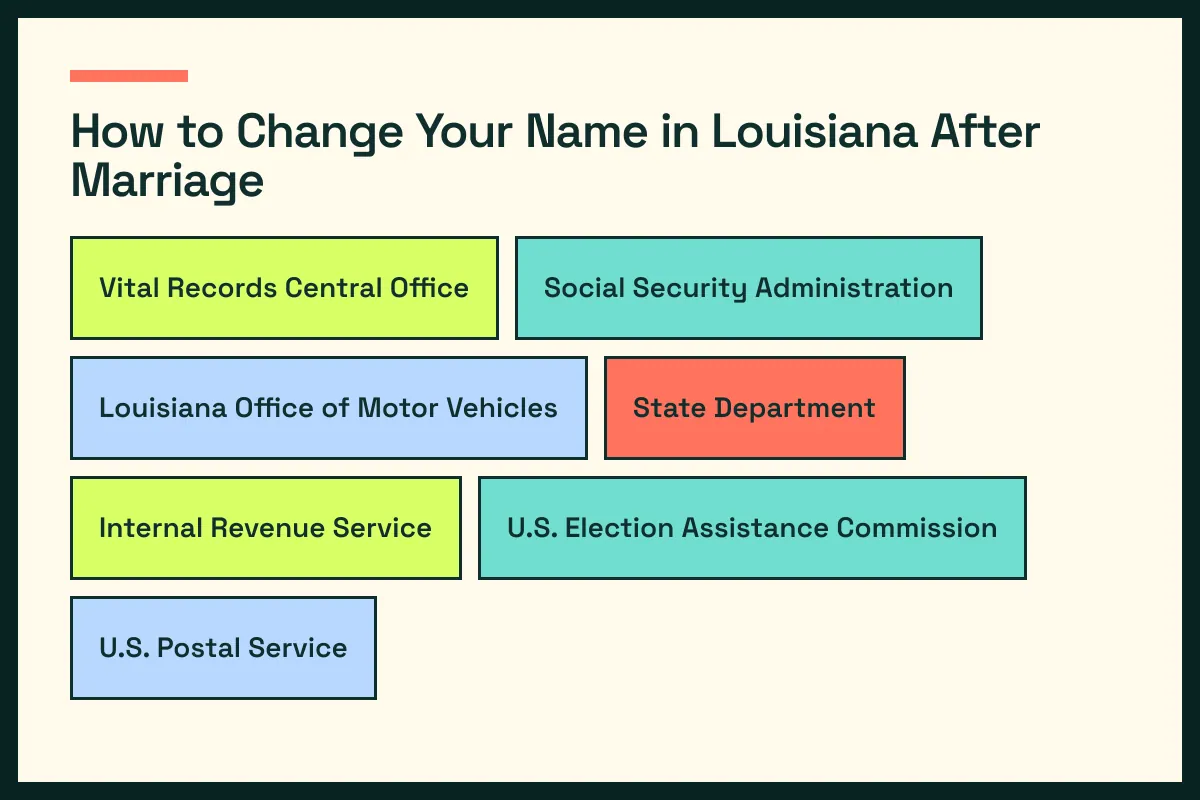 LA diagram connects Louisiana vital records with LA driver services and the wider Louisiana update path