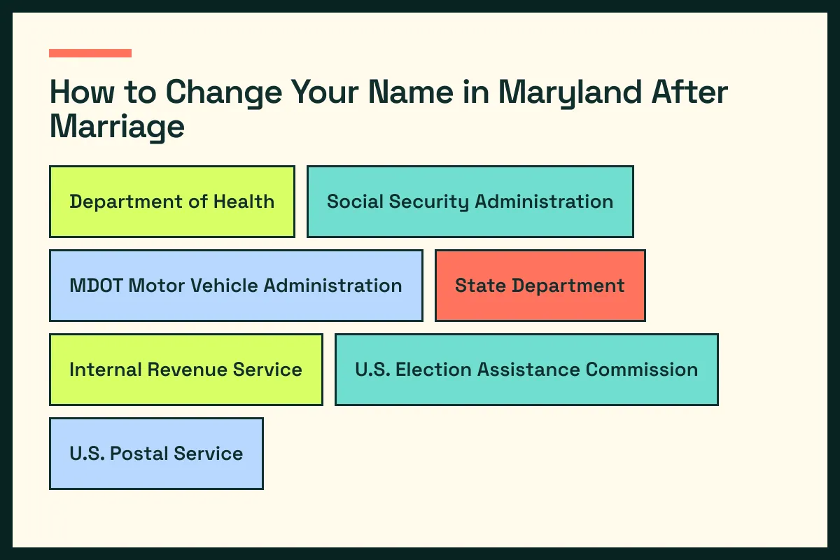 MD diagram connects Maryland vital records with MD driver services and the wider Maryland update path