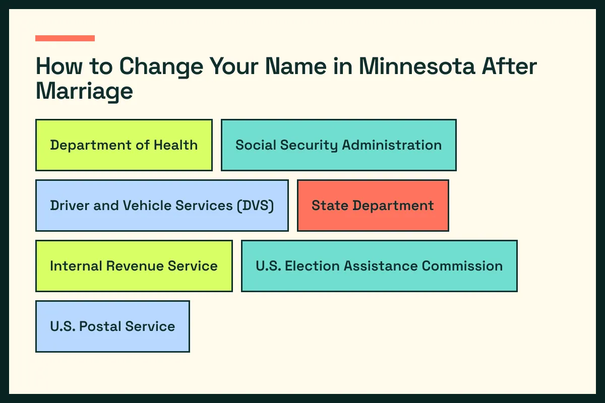 MN diagram connects Minnesota vital records with MN driver services and the wider Minnesota update path