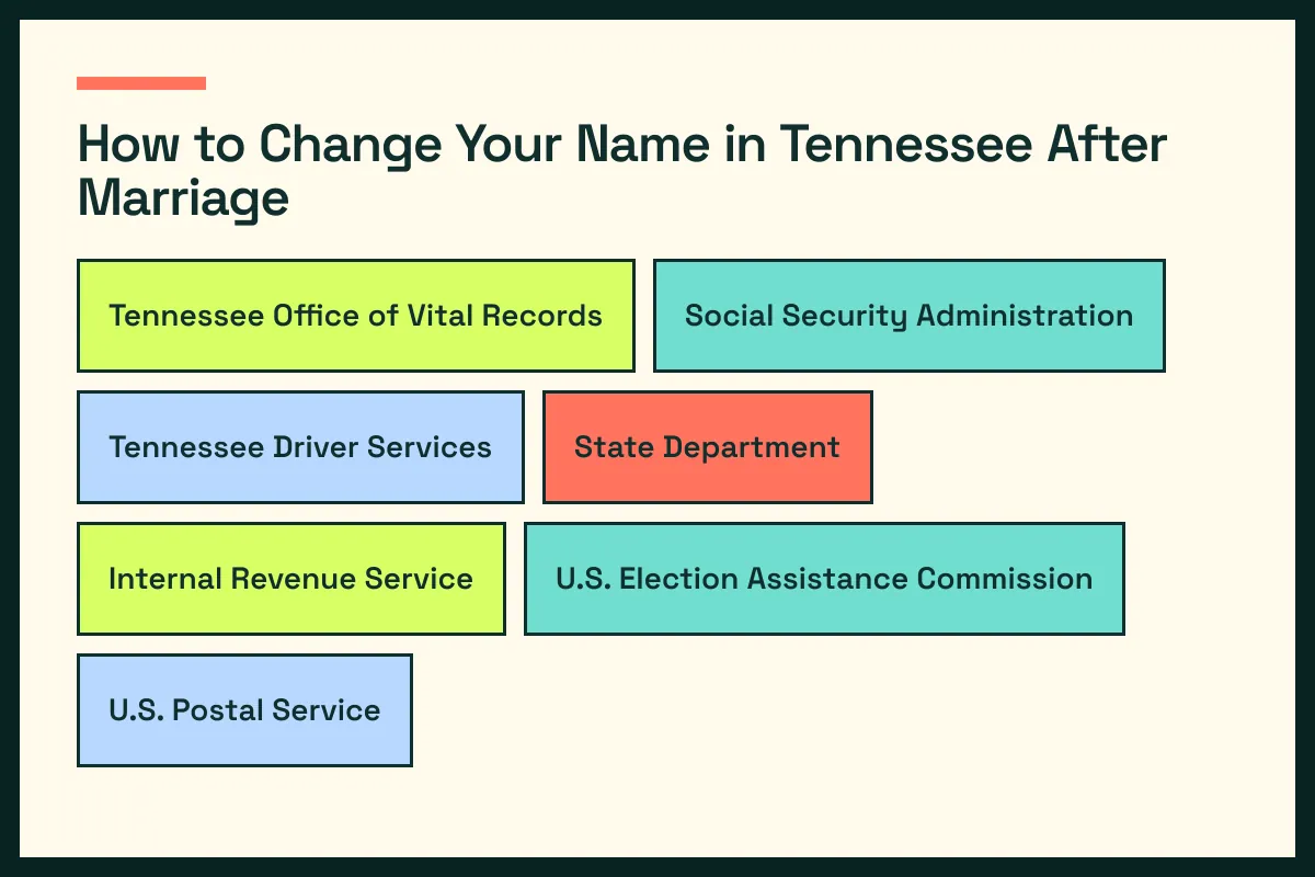 TN diagram connects Tennessee vital records with TN driver services and the wider Tennessee update path