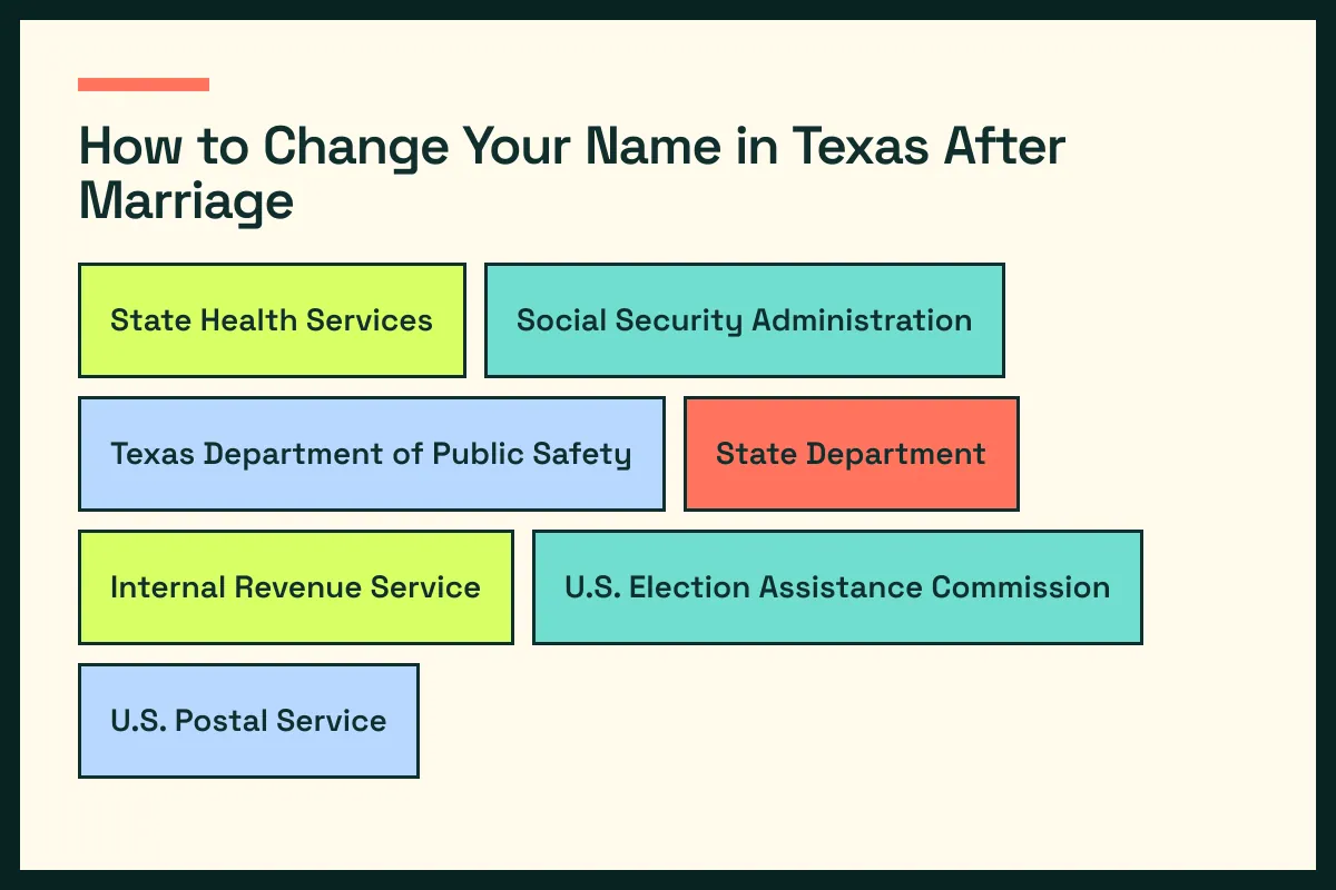 TX diagram connects Texas vital records with TX driver services and the wider Texas update path